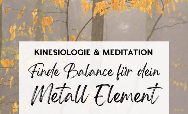 KINESIOLOGIE & MEDITATION